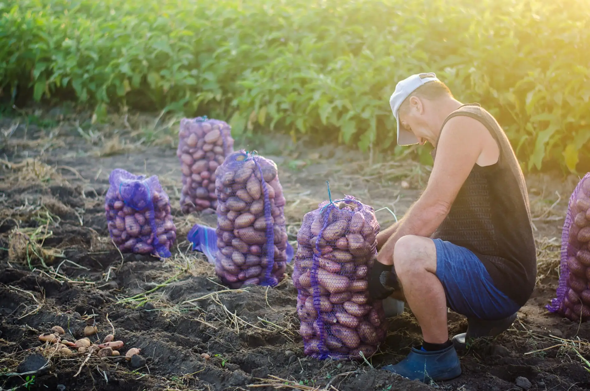 agriculture propane farmer field crops