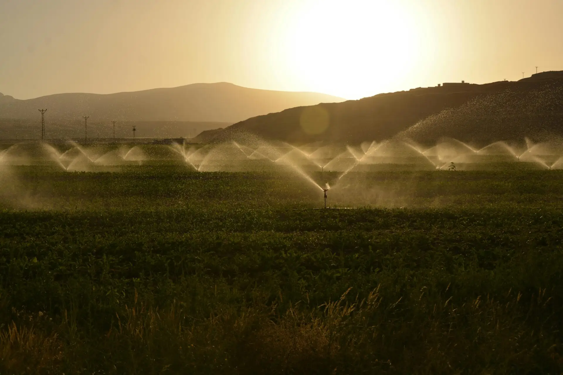 agricultural propane agriculture