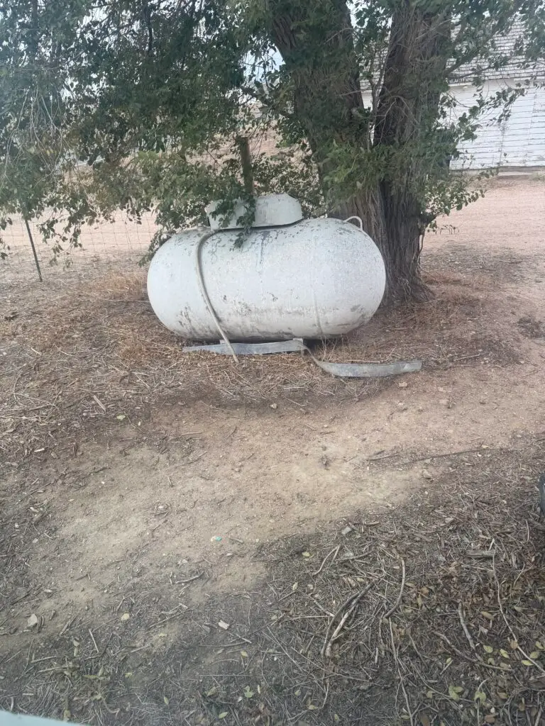 The Rise of Propane-Powered School Buses and Fleet Vehicles | LP Propane